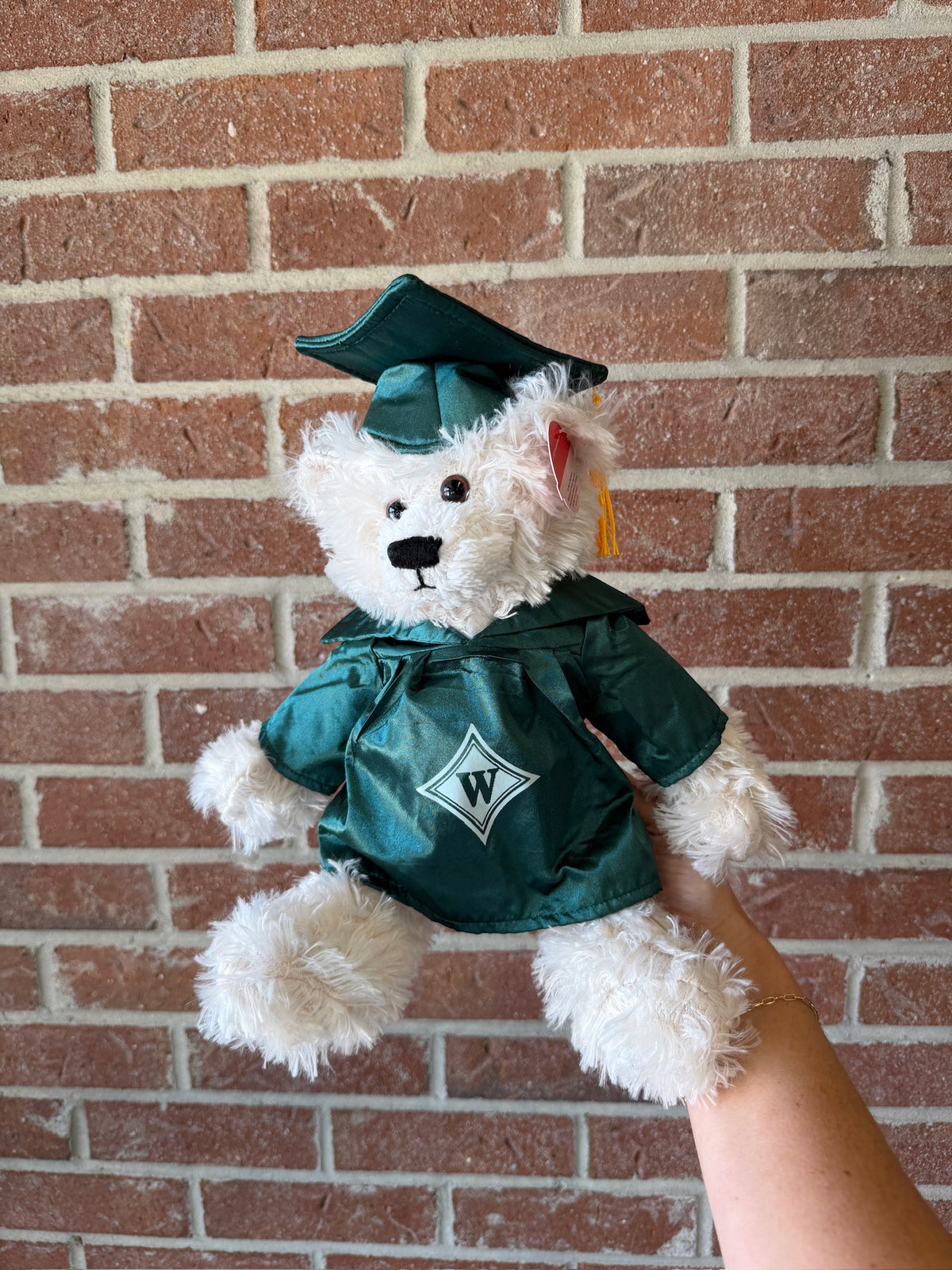 Large grad bear