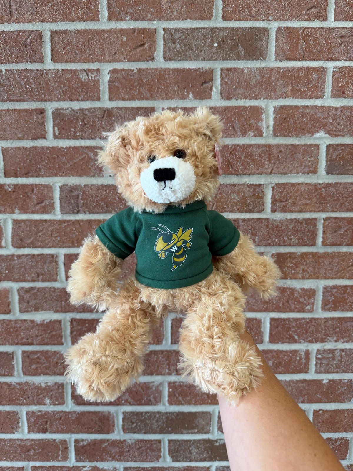 Sweatshirt bear