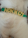 Hornets Dog Collar