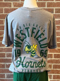 YOUTH Gray Comfort Colors
